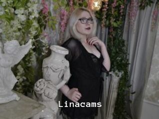 Linacams