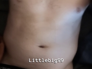 Littlebig99