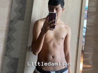 Littledamiian