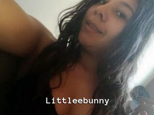 Littleebunny
