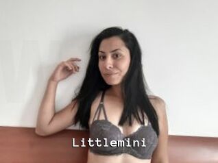 Littlemini