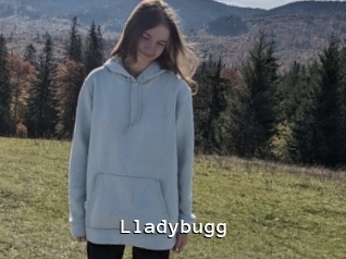 Lladybugg