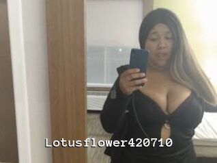 Lotusflower420710
