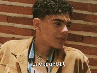 Luckrabbit