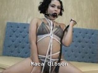 Maca_Gibson