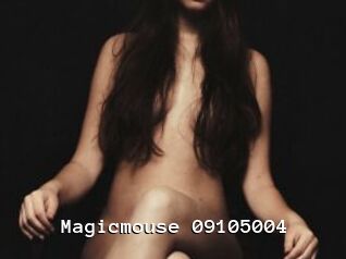 Magicmouse-09105004