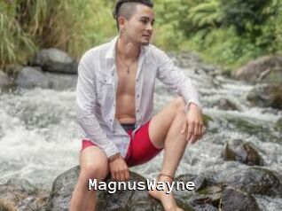 MagnusWayne
