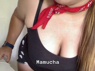 Mamucha