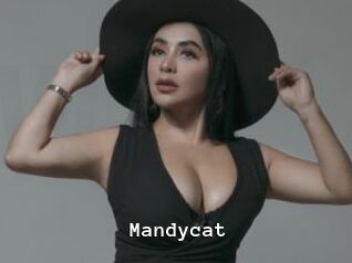 Mandycat