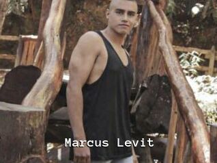 Marcus_Levit