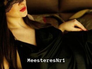 MeesteresNr1 Webcamsex Amateur