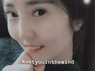 Meetyouinthewind