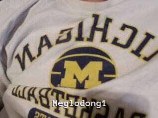 Meglodong1