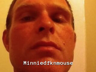 Minniedfknmouse