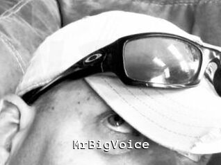 MrBigVoice