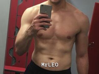 MrLEO