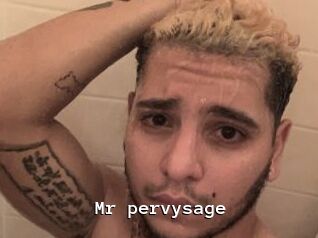Mr_pervysage