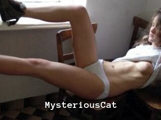 MysteriousCat