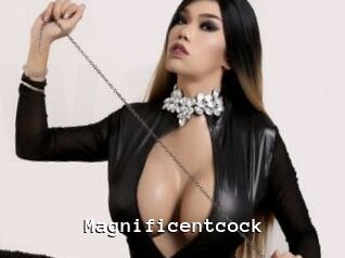 Magnificentcock