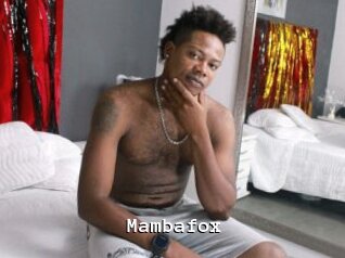 Mambafox