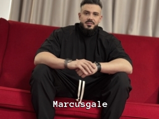 marcusgale Webcamsex Amateur