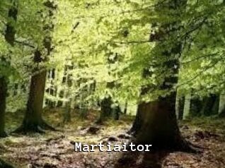 Martiaitor