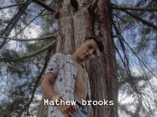 Mathew_brooks