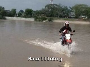 Maurillobig