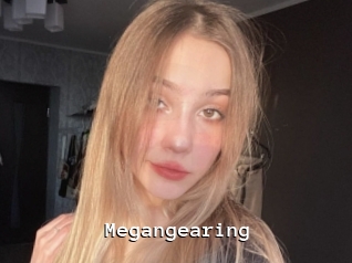 Megangearing