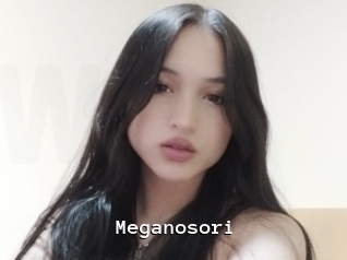 Meganosori
