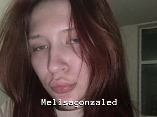 Melisagonzaled