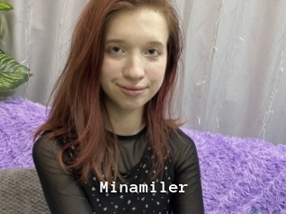 Minamiler