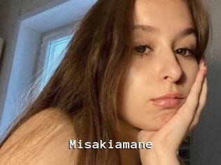 Misakiamane
