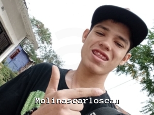 Molinascarloscam