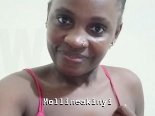 Mollineakinyi
