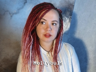 Mollybuls
