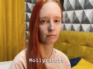 Mollyrabbit