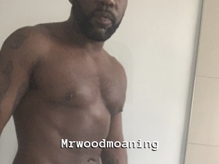 Mrwoodmoaning