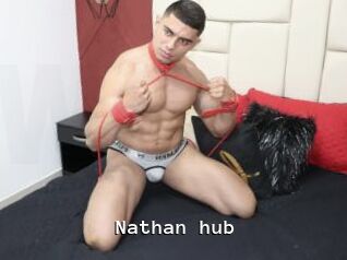Nathan_hub