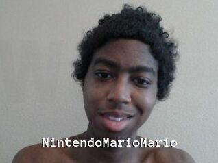 NintendoMarioMario