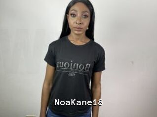 NoaKane18