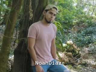 NoahDiaz Webcamsex Amateur