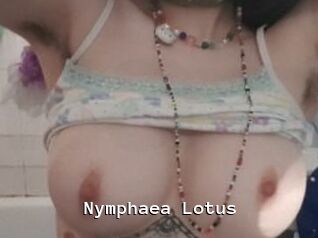 Nymphaea_Lotus