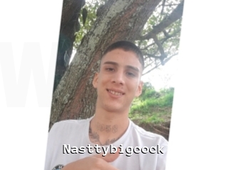 Nasttybigcock