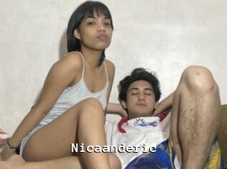 Nicaanderic