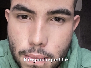 Nieganduquette