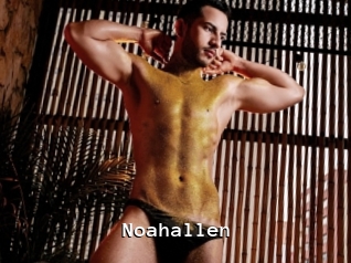 noahallen Webcamsex Amateur