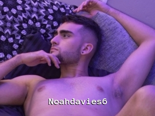 Noahdavies6