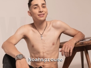 Noahsprouse