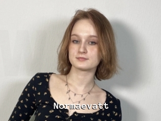 Normaevatt